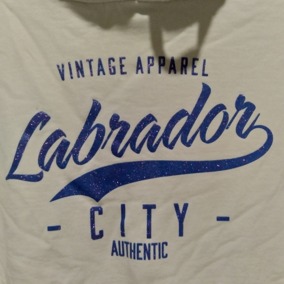 Hoodie with sparkly wording- tag says XXL, fits more like a medium/large - Picture 11 of 12